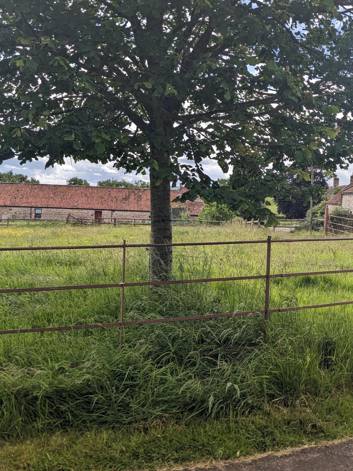 Regilbury Court, Grooms House Redhill  Εξωτερικό φωτογραφία